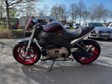 Buell Lightning XB12Scg*REMUS*KURZES HECK*CHERRY BOMB - STREETFIGHTER