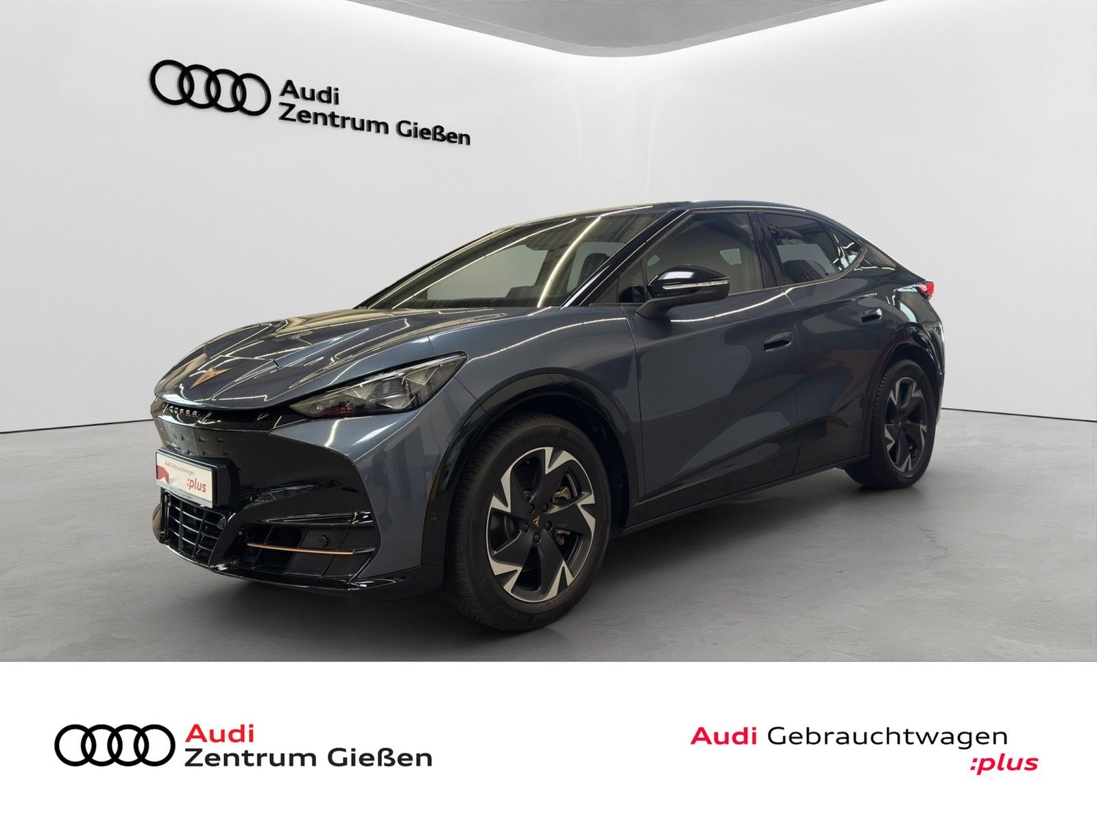Cupra Tavascan 210 kW Endurance ACC Kamera Navi LED