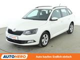 Skoda Fabia 1.0 TSI Style*TEMPO*PDC*SHZ*KLIMA* - Skoda Fabia Gebrauchtwagen in Frankfurt