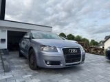 Audi A3 2.0 FSI Ambiente Sportback Ambiente - Audi A3 aus 2004: 2.0