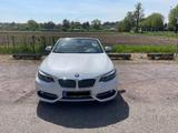 BMW 218d Cabrio Luxury Line Luxury Line - BMW 218: Privatanbieter