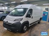Opel Movano Kasten 3.5t L4H2 BlueHDI180 BLIS/CAM/NAVI - Opel Movano in Bielefeld