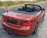 BMW 220i Steptronic Cabrio Sport Line - gebrauchte BMW 220 aus dem Jahr 2020