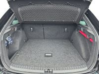 Skoda Scala - Vorschau Bild 15
