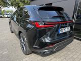 Lexus NX 350h Luxury Line Panoramadach Allrad - Lexus NX Luxury-Line