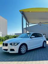 BMW F20 M-Paket ab Werk  Alcantara