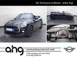 MINI Cooper Cabrio Aut. Navi Mini Portable Sitzheizun - schwarze MINI Cooper Cabrio