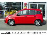 Fiat Pandina ICON Hybrid 1.0 GSE TEMPOMAT PDC LANE 5- - rote Fiat New Panda
