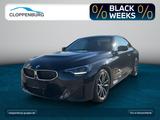 BMW 220i Navi+ACC+SHZ+HiFi+Fernl.Ass - BMW 220 in Mannheim