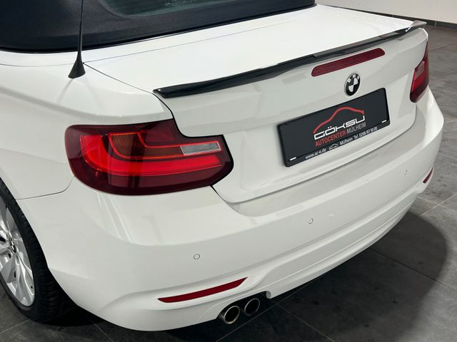 BMW 220 i Cabrio Advantage Automatik,Navi,Xenon,Alu