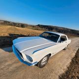 Ford Mustang Oldtimer Rarität - Ford Mustang: Old