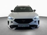 Cupra Formentor 1.5 TSI SHZ|FullLink|elHeckkl|PDC+RFK - Cupra