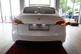 Tesla Model Y RWD *PANO* - weiße Tesla Model Y