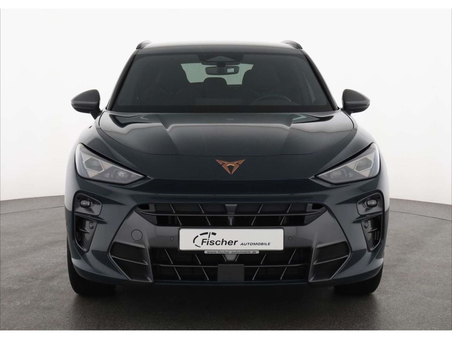 Cupra Terramar - Bild 3