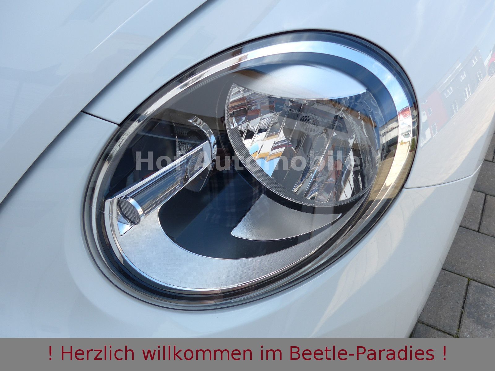 Volkswagen Beetle 1.2TSI DSG Cup SHZ Klimaaut. Allwetter foto 11