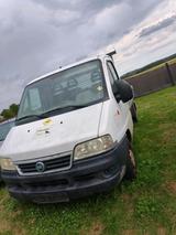Fiat Ducato 11 Pritsche 2.0 JTD - gebrauchte Fiat Ducato aus dem Jahr 2006