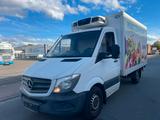 Mercedes-Benz Sprinter II Pritsche 310/311/313/314/316 CDI - Mercedes-Benz Sprinter: 313
