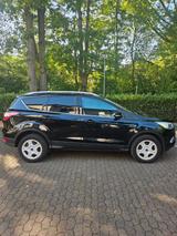 Ford Kuga 1,5 EcoBoost 4x2 88kW Trend Trend - Ford Kuga von privat
