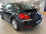 Volkswagen Beetle Lim. - Volkswagen Beetle: Limousine