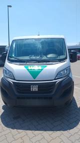Fiat Ducato  - gebrauchte Fiat Ducato aus dem Jahr 2024