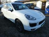 Porsche Cayenne Diesel Platinum Edition 20"+Bose+BiXenon - Porsche Cayenne: Platinum Edition