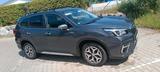 Subaru Forester Hybrid - gebrauchte Subaru Forester aus dem Jahr 2021