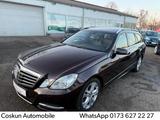 Mercedes-Benz E 250 CDI 4MATIC T AVANTGARDE Aut.NAVI*LEDER*TOP - Mercedes-Benz E 250: Cdi 4matic