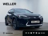 Lexus UX 250h Style Edition *Bi-LED*ACC*CAM*SHZ*CarPla - Lexus UX: Style Edition