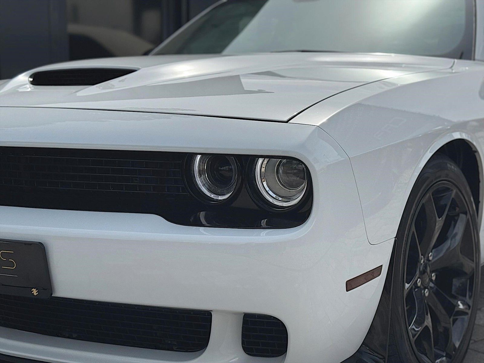 Fahrzeugabbildung Dodge Challenger 5.7 V8 R/T+ Performance Night Edition