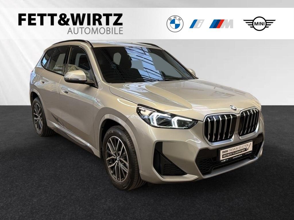 BMW X1 sDrive18i M Sportpaket|Parkass.|18"LMR