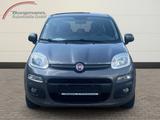 Fiat Panda Lounge 1.2 Bluetooth - Freisprecheinrichtu - Fiat Panda: 1.1