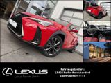Lexus UX250h F SPORT - Lexus UX aus 2022
