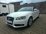 Audi A3 1.8 TFSI S tronic Ambition Cabriolet/Garantie - Audi A3: Weiß, Cabrio