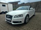 Audi A3 1.8 TFSI S tronic Ambition Cabriolet/Garantie - Audi A3 aus 2010: Cabrio