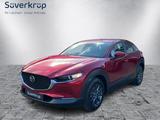 Mazda CX-30 5WGN 2.5L e-SKYACTIV G 140ps 6AT FWD Prime - Mazda CX-30 Kombi Gebrauchtwagen