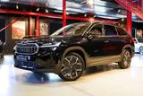 Skoda Kodiaq 1.5 TSI mHEV 110 kW DSG HIGHLINE !!!! - Skoda Kodiaq in Kiel