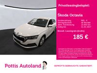 Skoda Octavia - Vorschau Bild 1