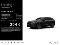 Cupra Terramar - Vorschau Bild 1