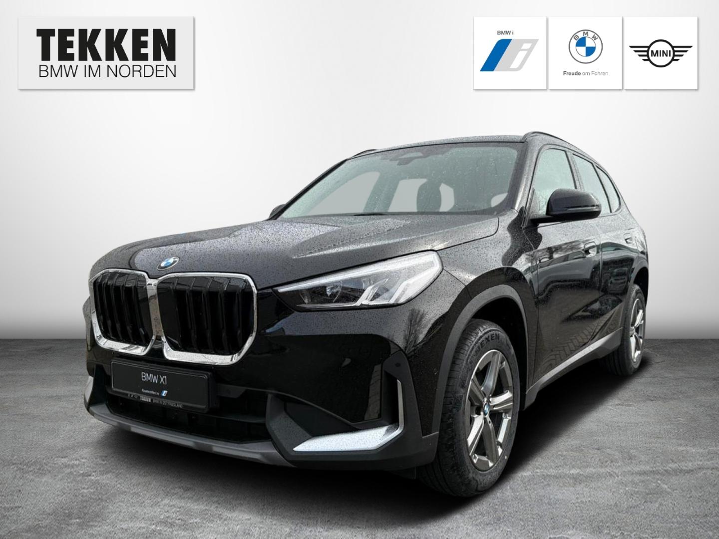 BMW X1 18i sDrive  AHK, RFK, LED, AppleCarplay uvm