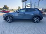 Mazda CX-30 2.0 (186PS) Autom. Selection Des-P. Prem-P - Mazda CX-30 Gebrauchtwagen in Frankfurt