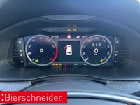 Skoda Kamiq - Vorschau Bild 14