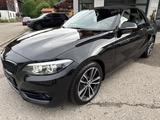 BMW 218 Baureihe 2 Cabrio 218 i Sport Line - BMW 2er Reihe: Cabrio