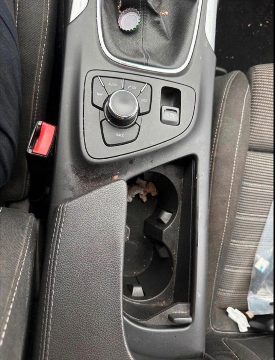 Opel Insignia 2011 — photo 11