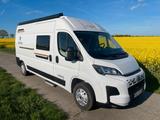 Rimor Horus 45 - Offers matching your search criteria