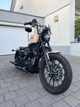 Harley-Davidson Iron 883 - Offers matching your search criteria