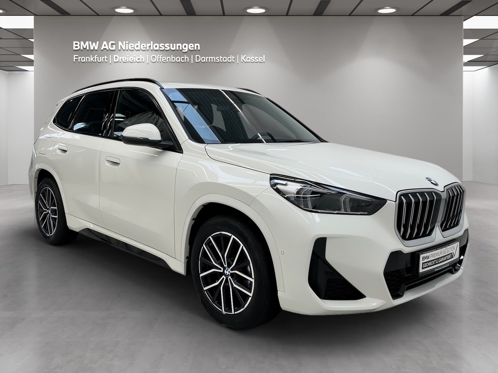 BMW X1 xDrive20d M Sport Driv.Assist Harman K LED foto 3