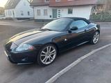 Jaguar XK 4.2L V8 Cabriolet - - Jaguar XK: Cabrio