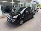 Fiat Panda 1.0 Hybrid 70PS Pandina - Fiat Panda Pandina mit Hybrid-Antrieb (Benzin/Elektro)