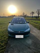 Peugeot 206  - Peugeot 206: Grün