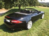Jaguar XKR 5.0 V8 XKR Cabriolet XKR - Jaguar XKR: Cabrio